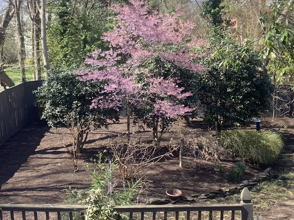 Custom garden landscaping in Falls church, VA - Ortega’s Landscaping