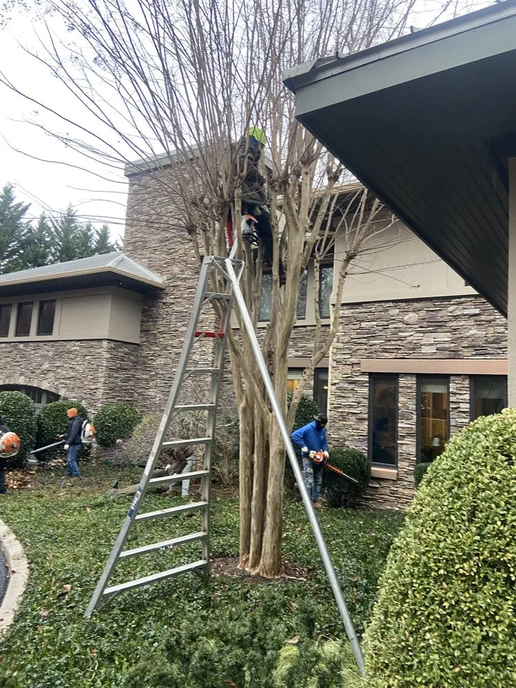 Trusted landscape installation experts serving Falls church, VA - Ortega’s Landscaping