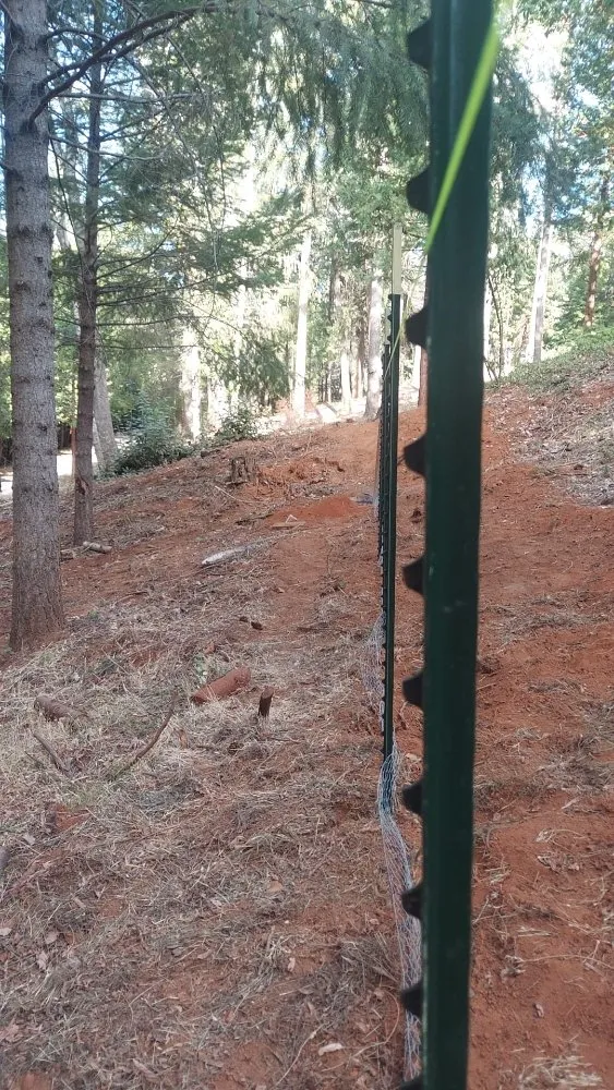 Trusted lawn care service experts serving Grass Valley, CA - Ortega's Landscaping