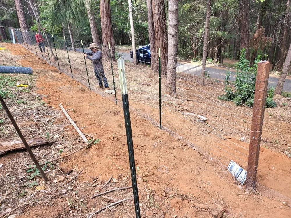 Custom outdoor landscaping in Grass Valley, CA by Ortega's Landscaping