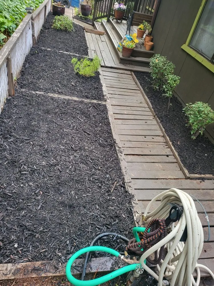 Local outdoor landscaping experts serving Grass Valley, CA - Ortega's Landscaping