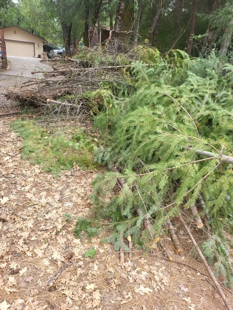 Local yard maintenance for homes across Grass Valley, CA - Ortega's Landscaping