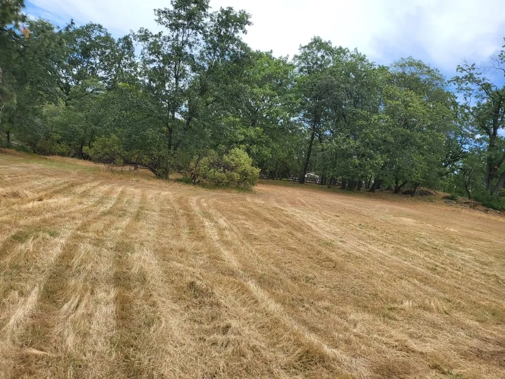 Professional garden landscaping experts serving Grass Valley, CA - Ortega's Landscaping