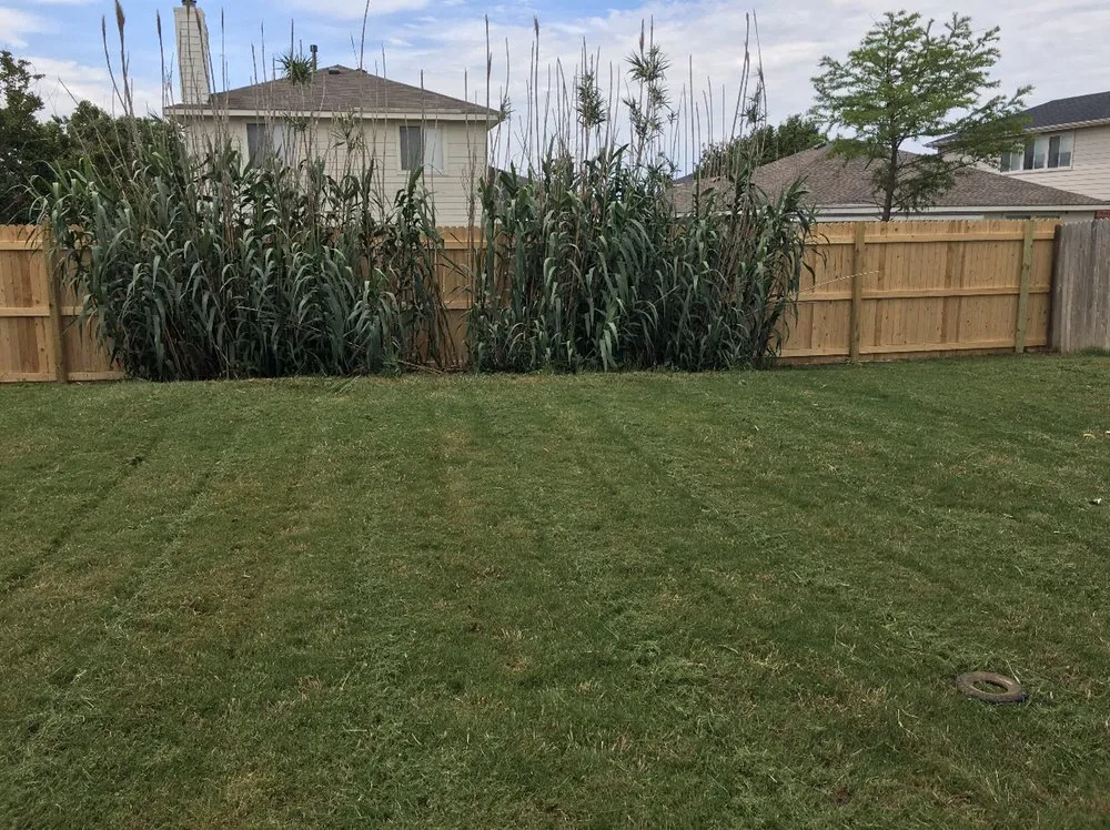 Trusted lawn care service in Oak Point, TX by Ortega’s Landscaping
