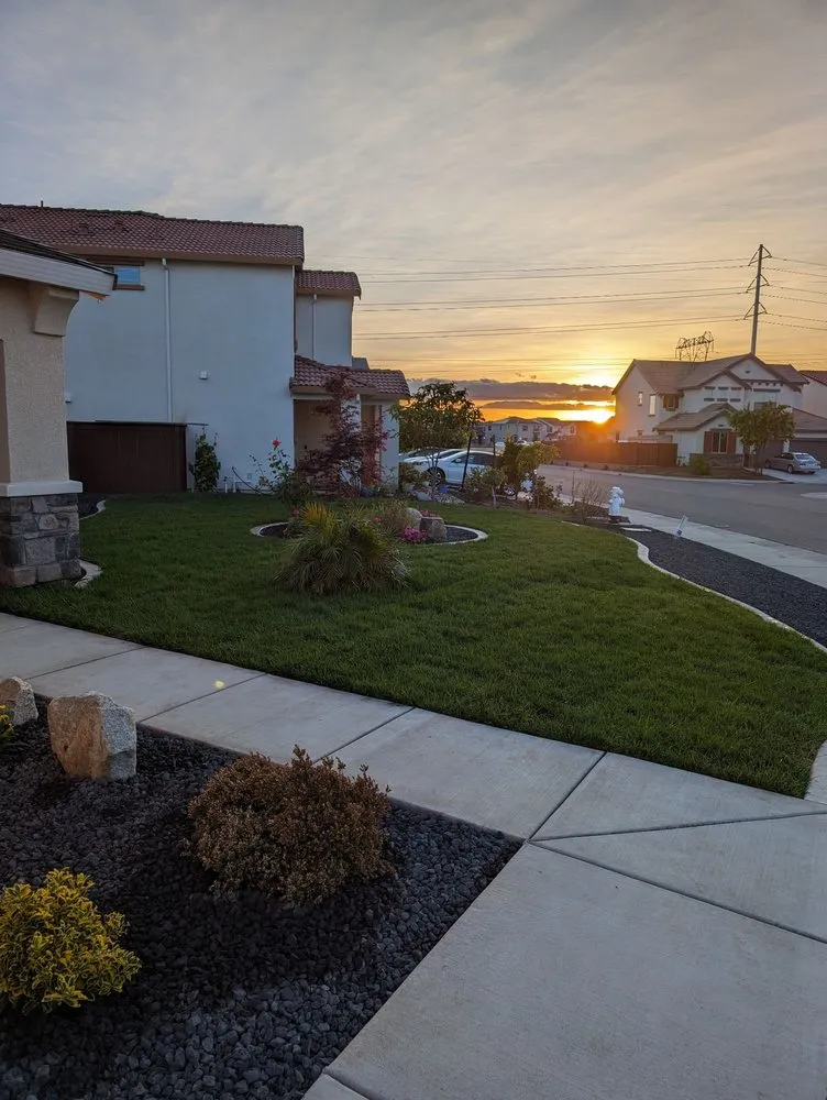 Local yard maintenance experts serving Sacramento, CA - Ortega’s Landscaping