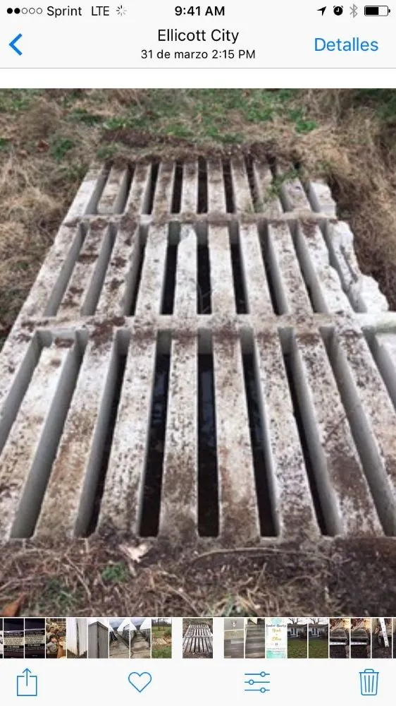 Expert lawn care service experts serving Sykesville, MD - Ortega's Landscaping