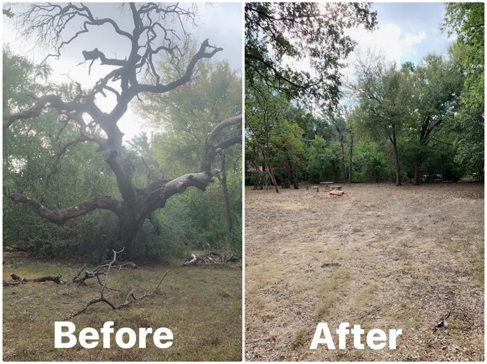 Local landscape installation for year-round maintenance across Waco, TX - Ortega's Lawn and Landscaping