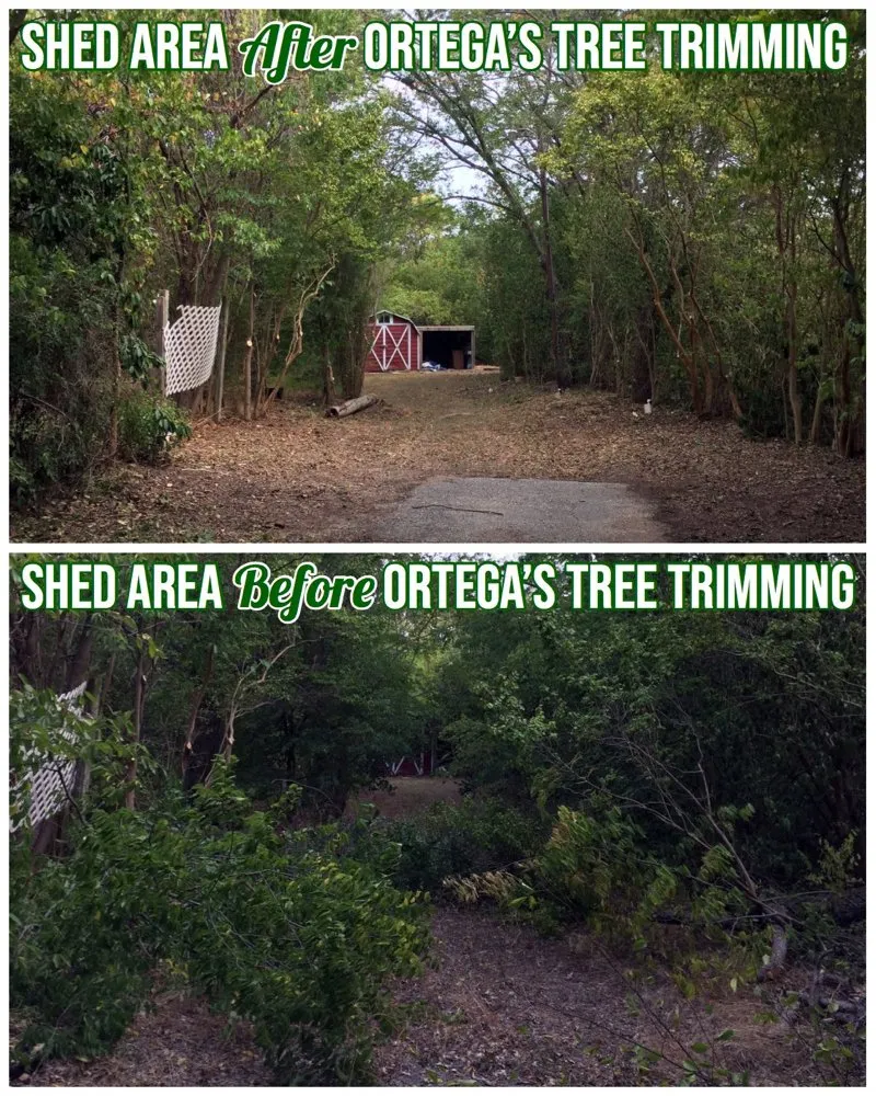 Professional landscape design for residential properties across Waco, TX - Ortega's Lawn and Landscaping