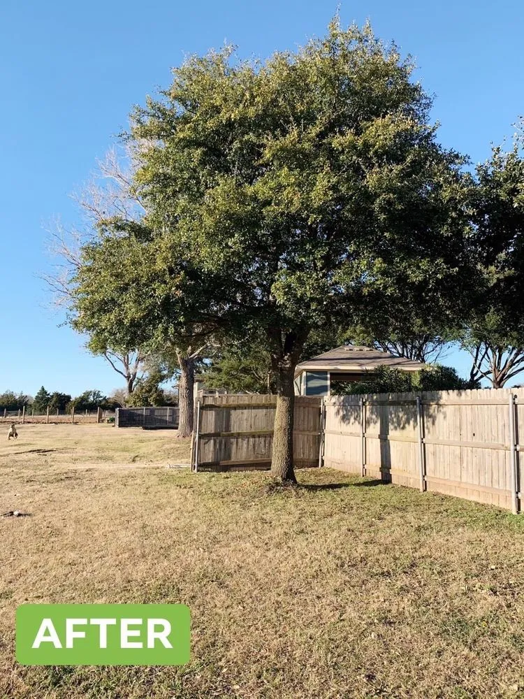 Affordable yard maintenance in Waco, TX - Ortega's Lawn and Landscaping