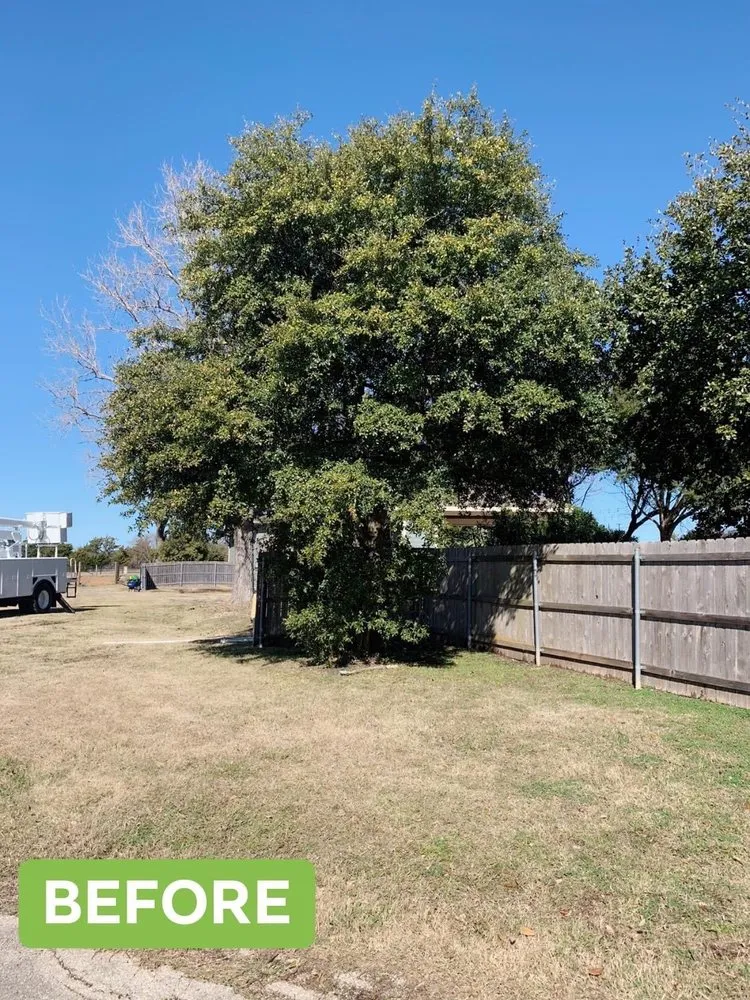 Custom outdoor landscaping for homes across Waco, TX - Ortega's Lawn and Landscaping