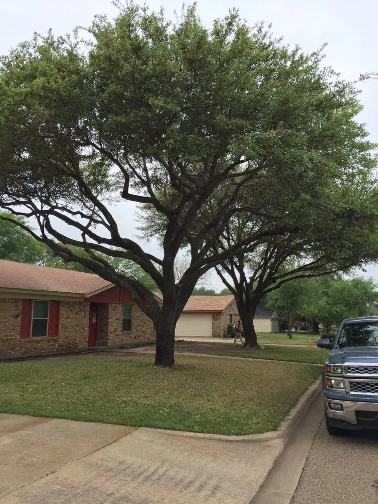 Top-rated landscaping services in Waco, TX - Ortega's Lawn and Landscaping