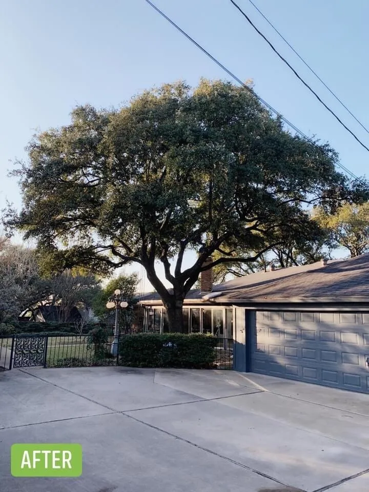 Local lawn mowing service experts serving Waco, TX - Ortega's Lawn and Landscaping