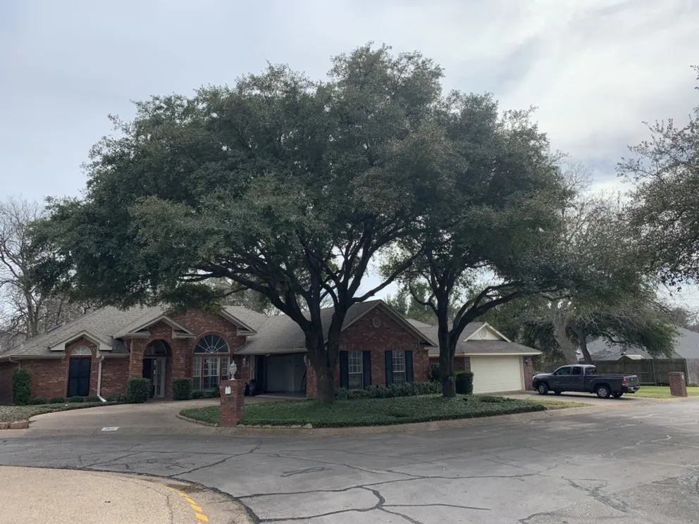 Local yard cleanup service in Waco, TX by Ortega's Lawn and Landscaping