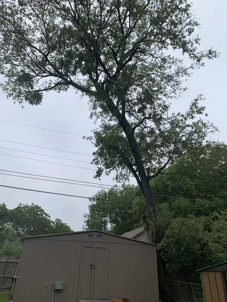 Affordable landscape installation in Waco, TX by Ortega's Lawn and Landscaping