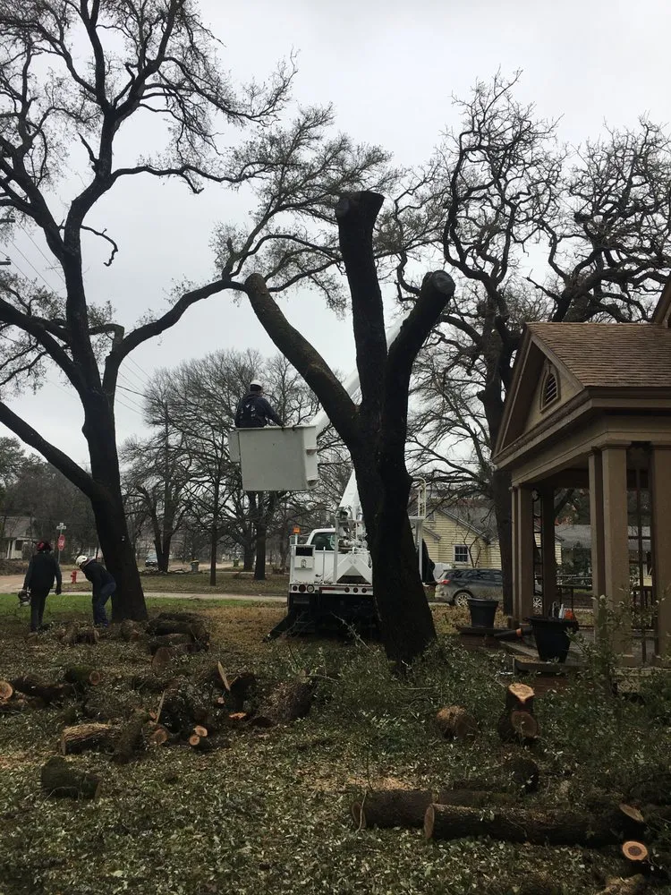 Trusted yard cleanup service experts serving Waco, TX - Ortega's Lawn and Landscaping