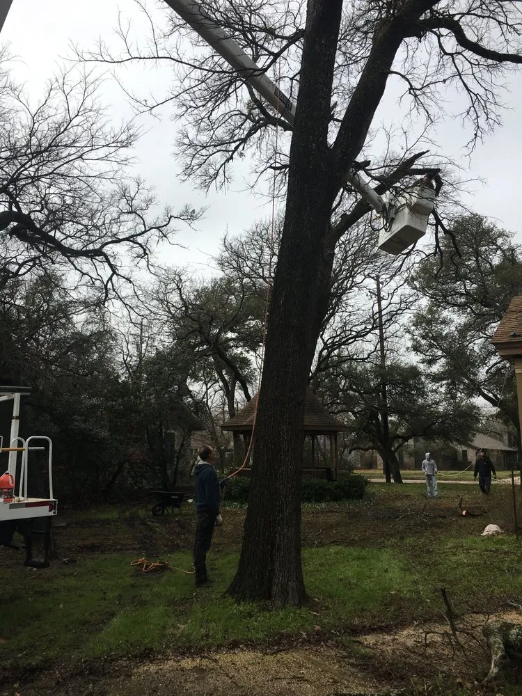 Trusted landscape design experts serving Waco, TX - Ortega's Lawn and Landscaping