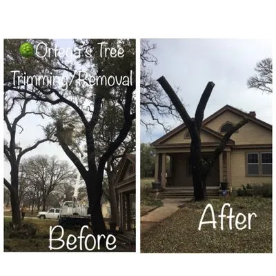 Ortega's Lawn and Landscaping Logo