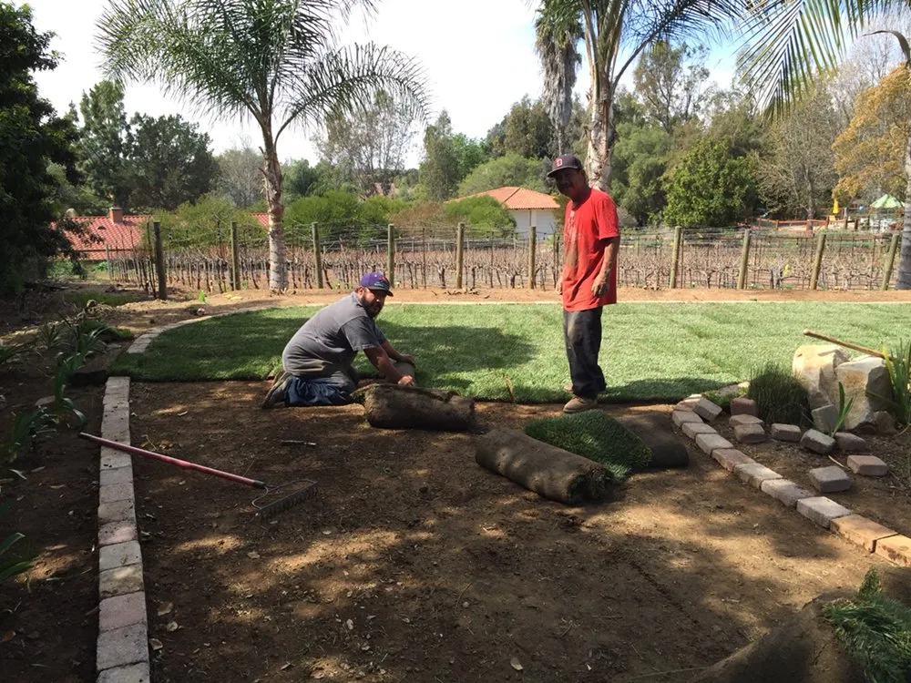 Custom residential landscaping for residential properties across Oceanside, CA - Ortega's Lawn Care