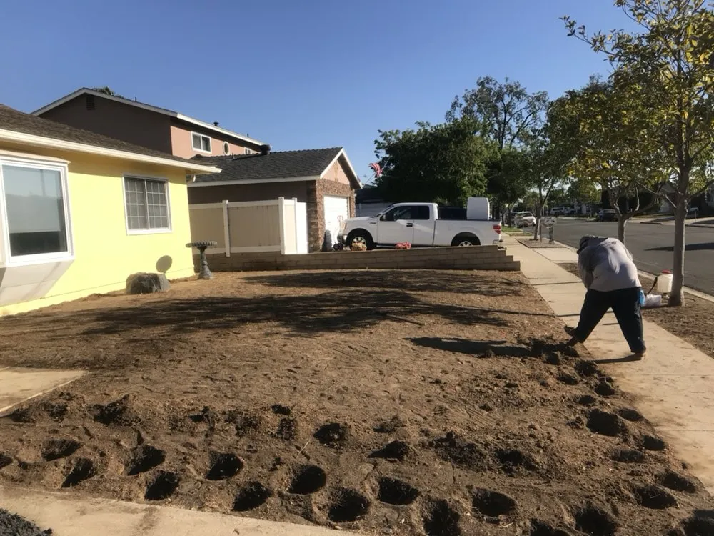 Expert landscaping services in Oceanside, CA by Ortega's Lawn Care