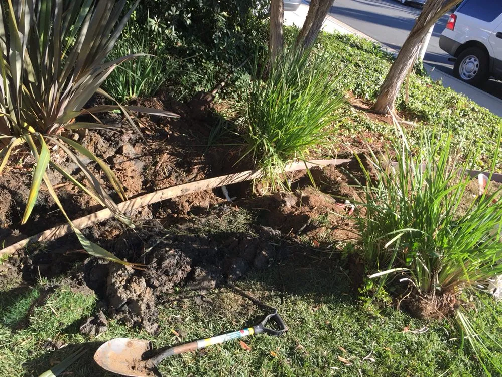 Reliable yard maintenance in Oceanside, CA - Ortega's Lawn Care