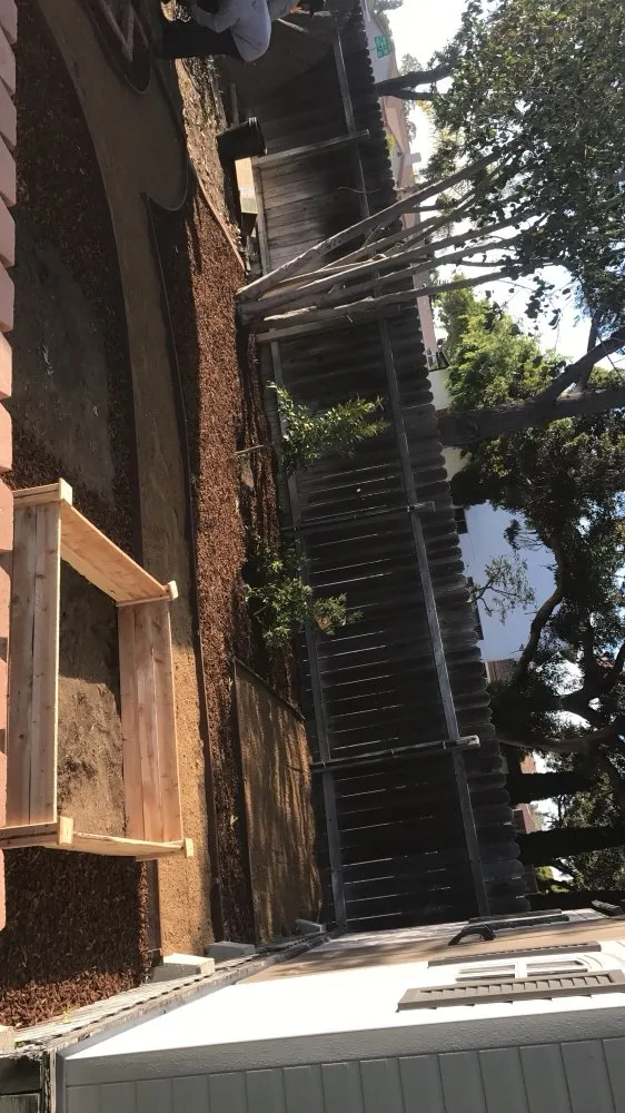 Local landscaping services in Oceanside, CA by Ortega's Lawn Care