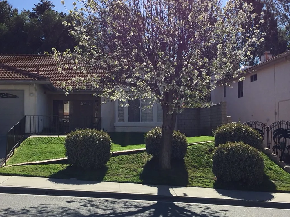 Reliable outdoor landscaping for beautiful yards across Oceanside, CA - Ortega's Lawn Care