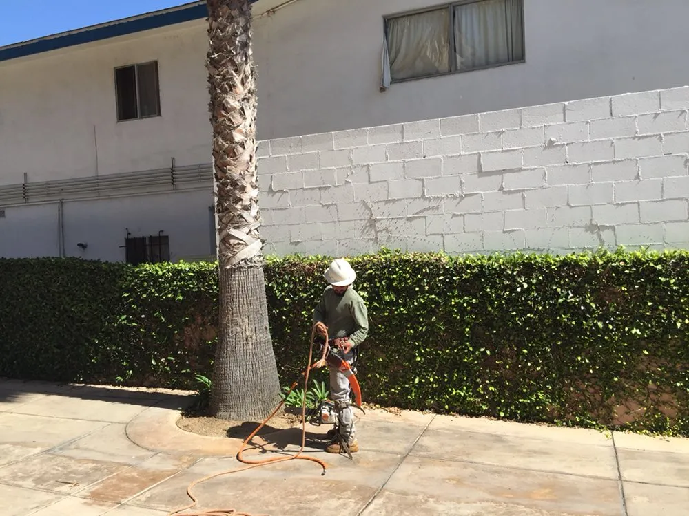 Local lawn care service in Oceanside, CA by Ortega's Lawn Care