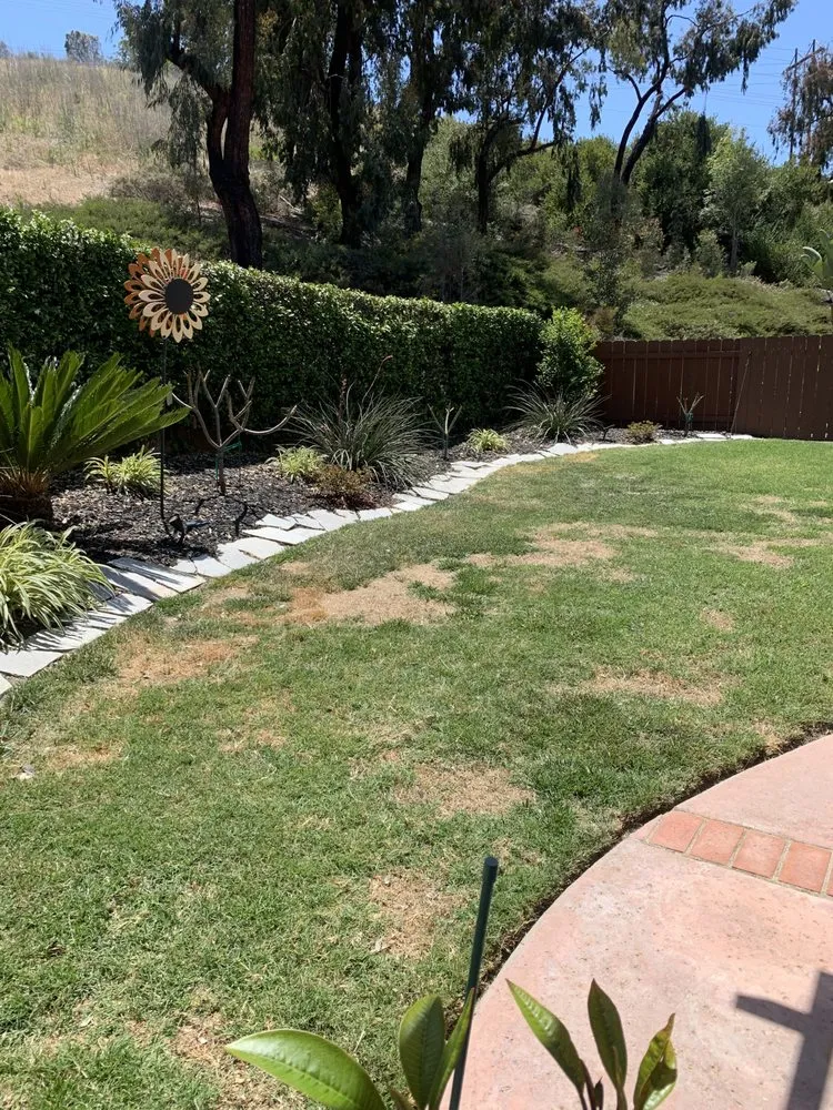 Top-rated yard maintenance for outdoor upgrades in Oceanside, CA by Ortega's Lawn Care