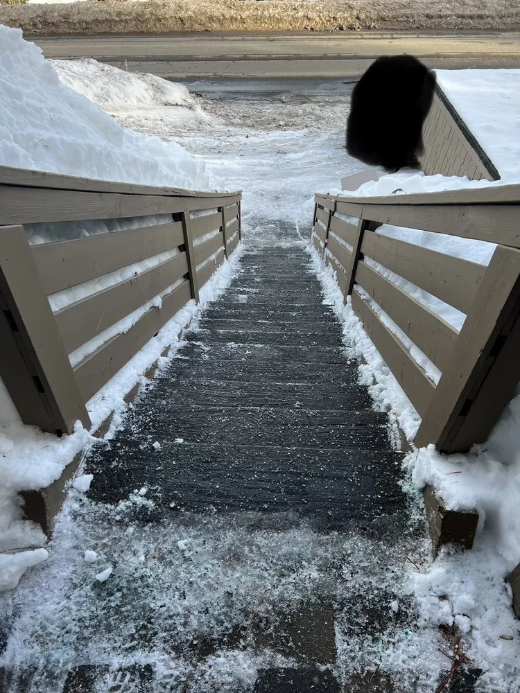 Expert residential landscaping for beautiful yards across Kings Beach, CA - Ortega’s Property Maintenance