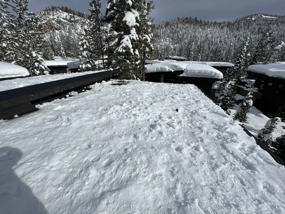 Top-rated landscaping services in Kings Beach, CA by Ortega’s Property Maintenance