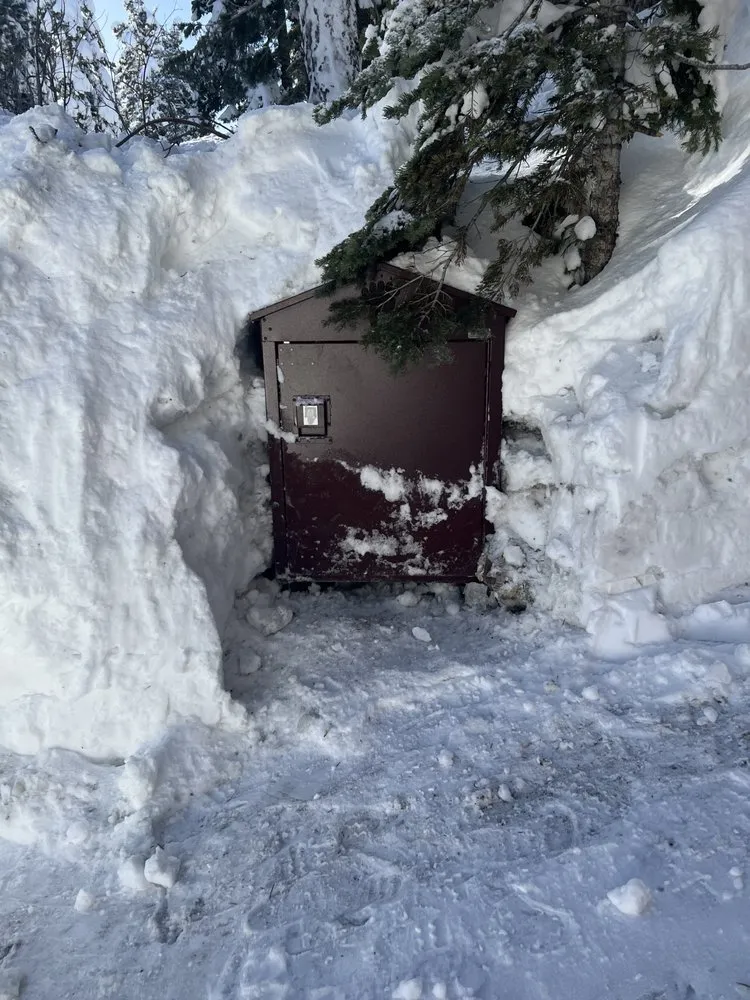 Affordable residential landscaping for outdoor upgrades across Kings Beach, CA - Ortega’s Property Maintenance