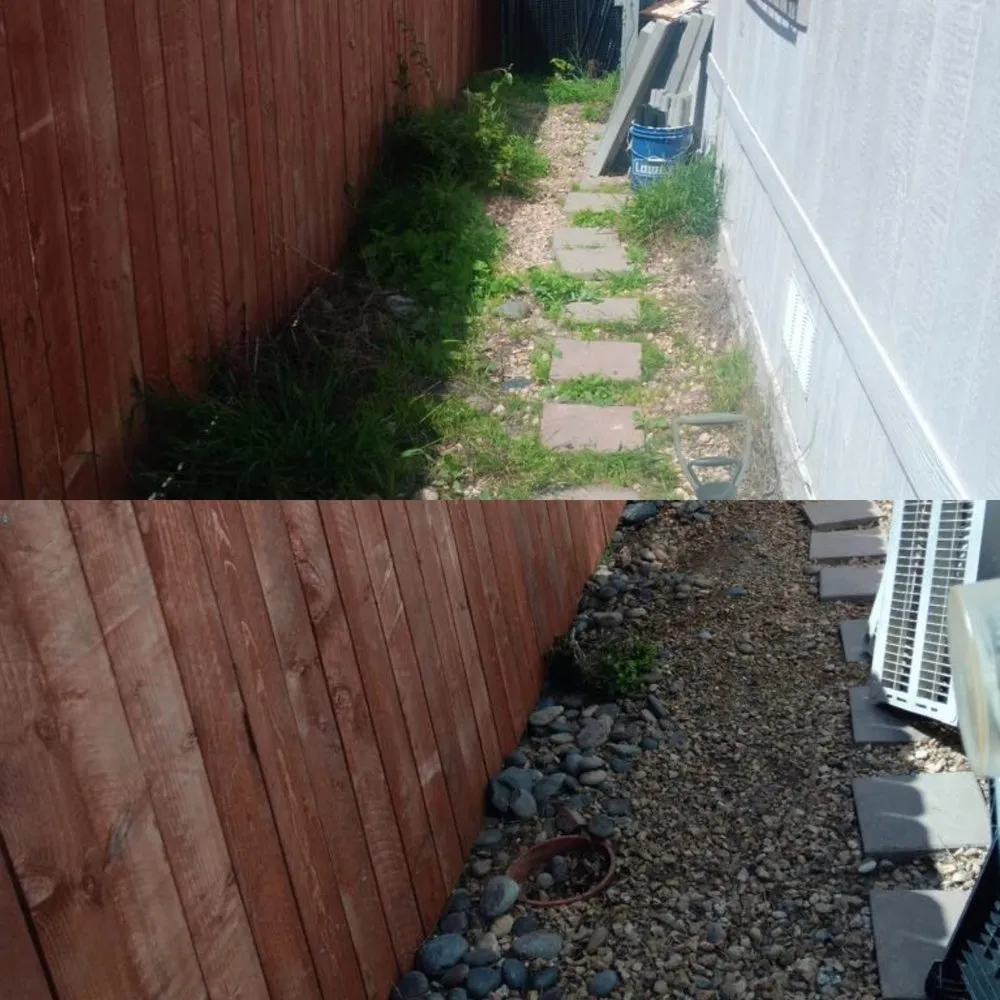 Expert landscape installation in Vista, CA - Ortega’s Tree Service