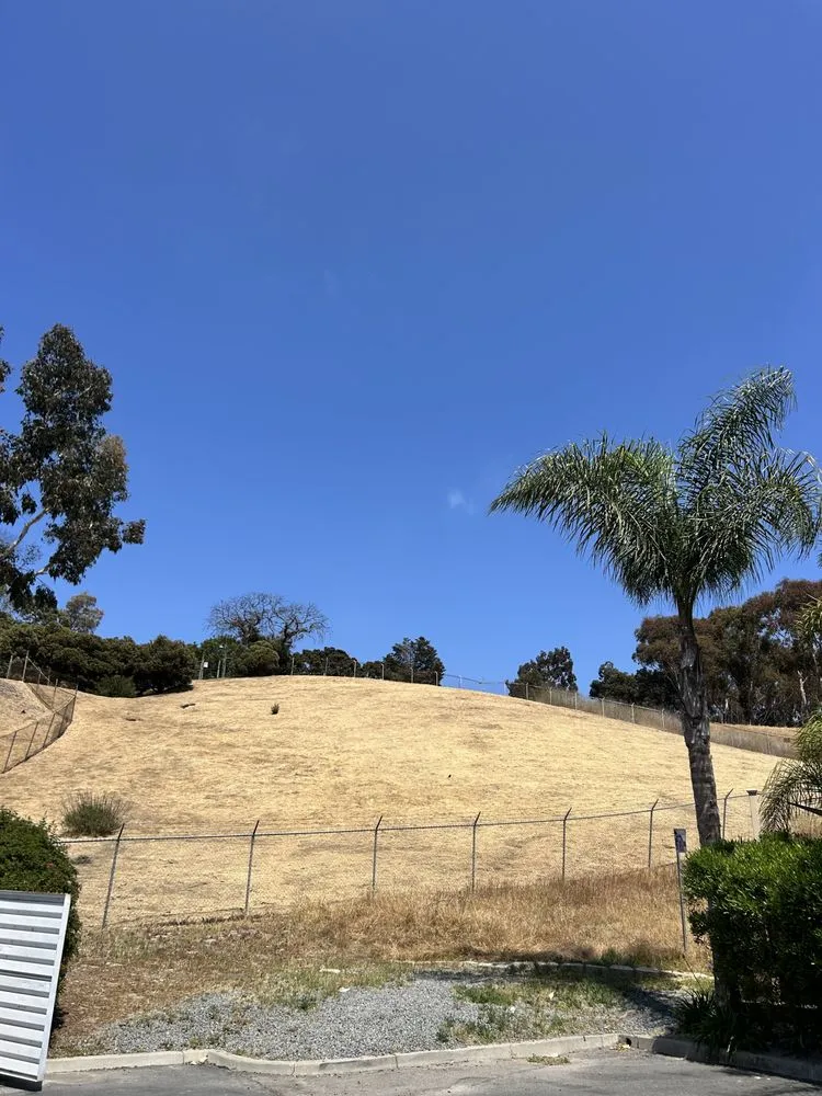 Top-rated residential landscaping near you across Vista, CA - Ortega’s Tree Service