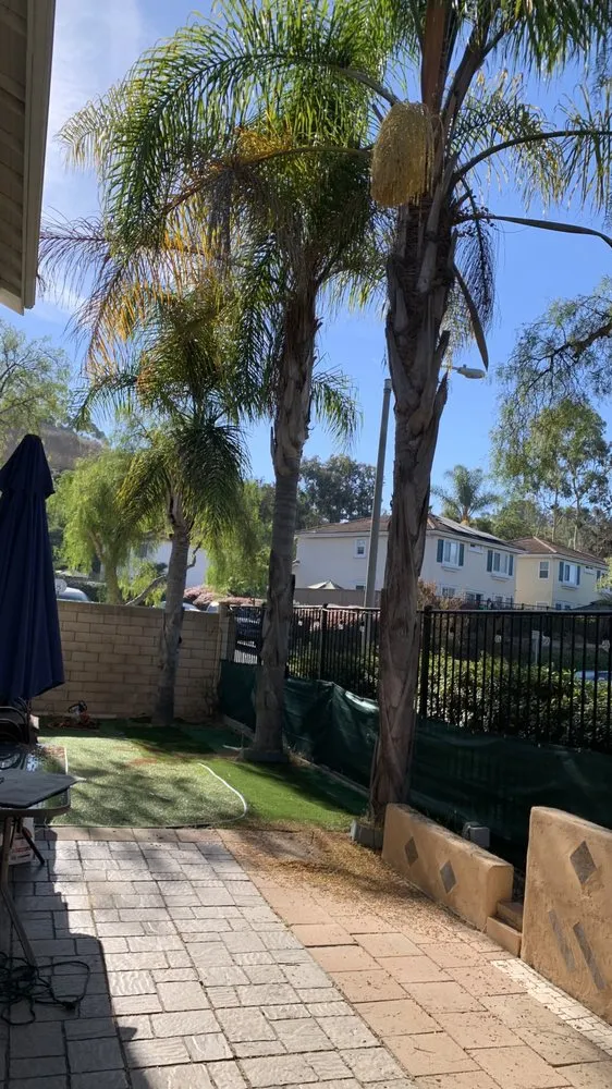 Custom residential landscaping for homes across Vista, CA - Ortega’s Tree Service