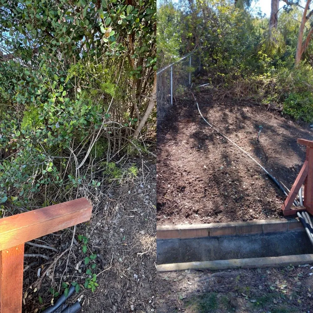Custom landscaping services for outdoor upgrades across Vista, CA - Ortega’s Tree Service