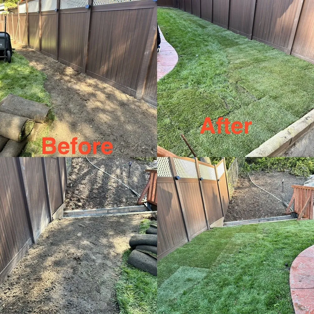 Reliable yard maintenance in Vista, CA - Ortega’s Tree Service