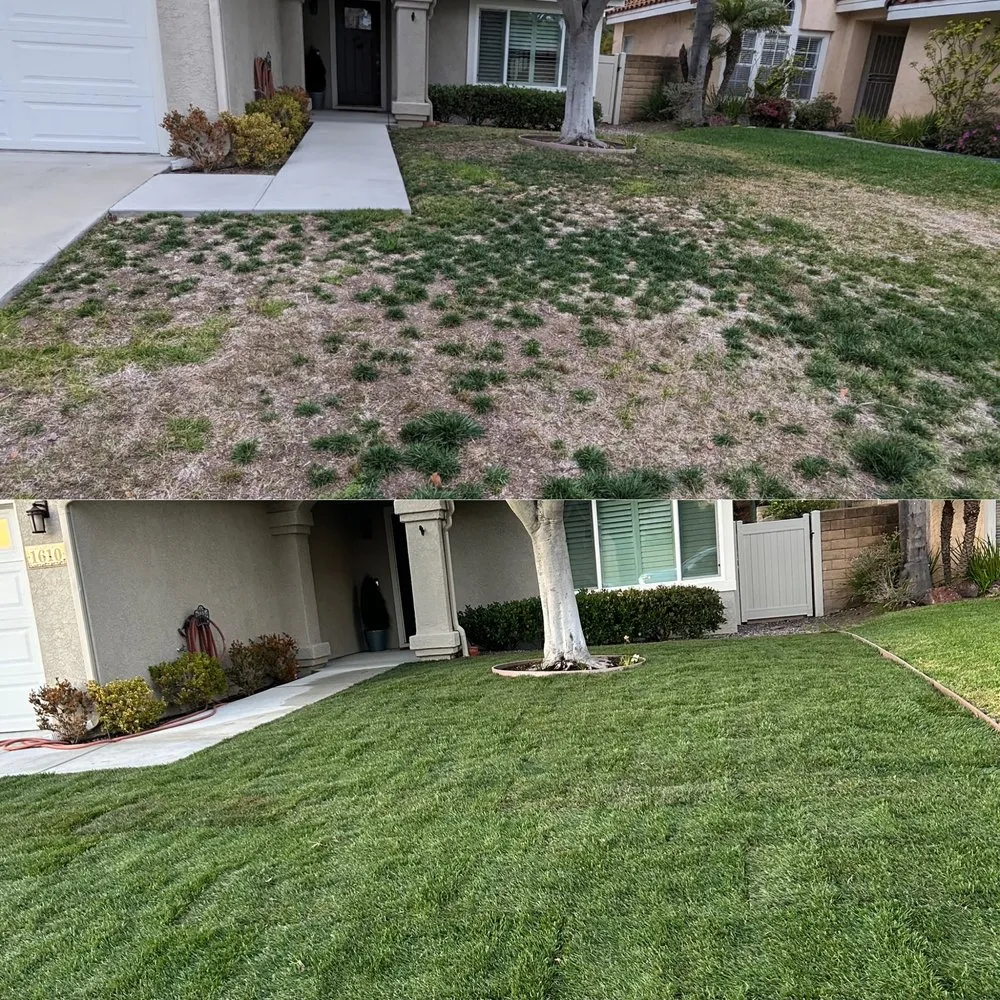 Custom landscape design for residential properties in Vista, CA by Ortega’s Tree Service
