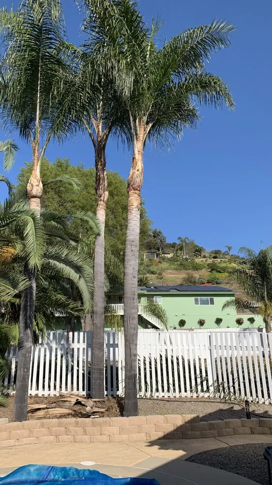 Local garden landscaping in Vista, CA by Ortega’s Tree Service