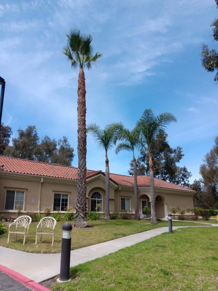 Custom yard maintenance in Vista, CA by Ortega’s Tree Service