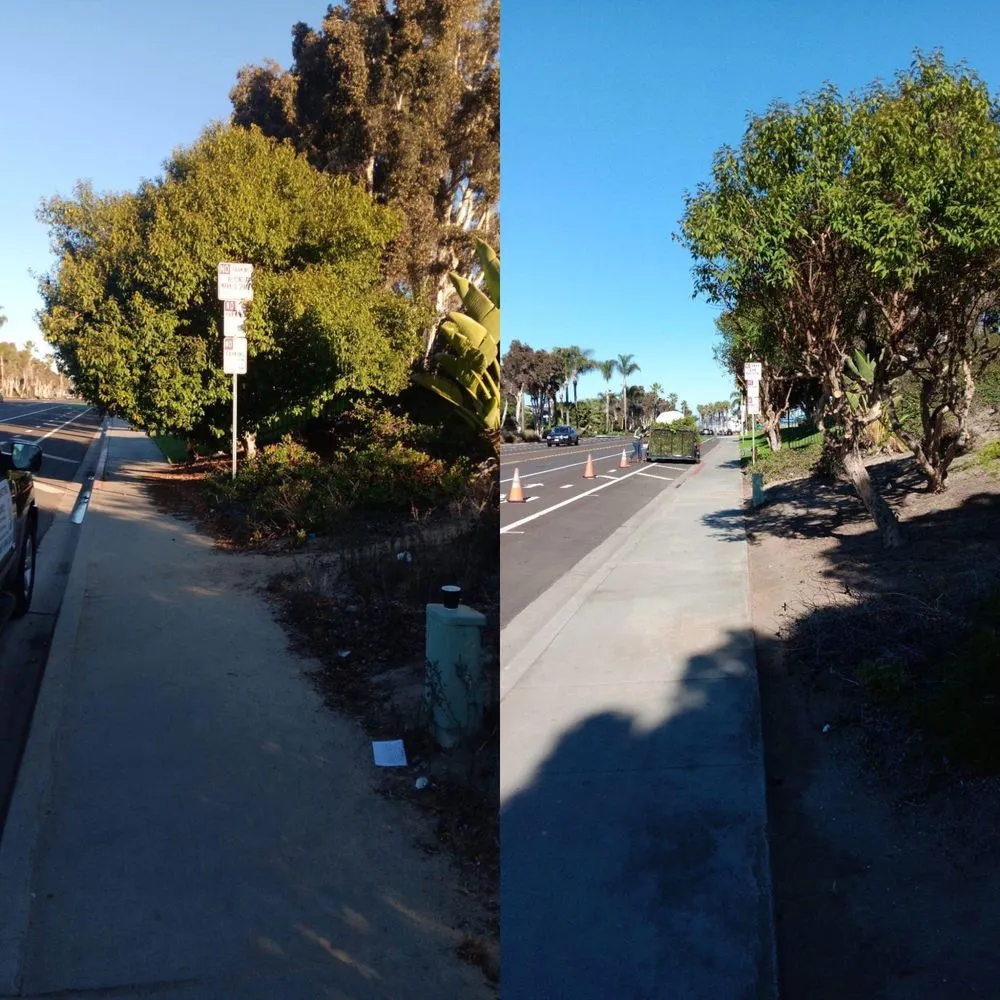 Expert outdoor landscaping for residential properties in Vista, CA by Ortega’s Tree Service