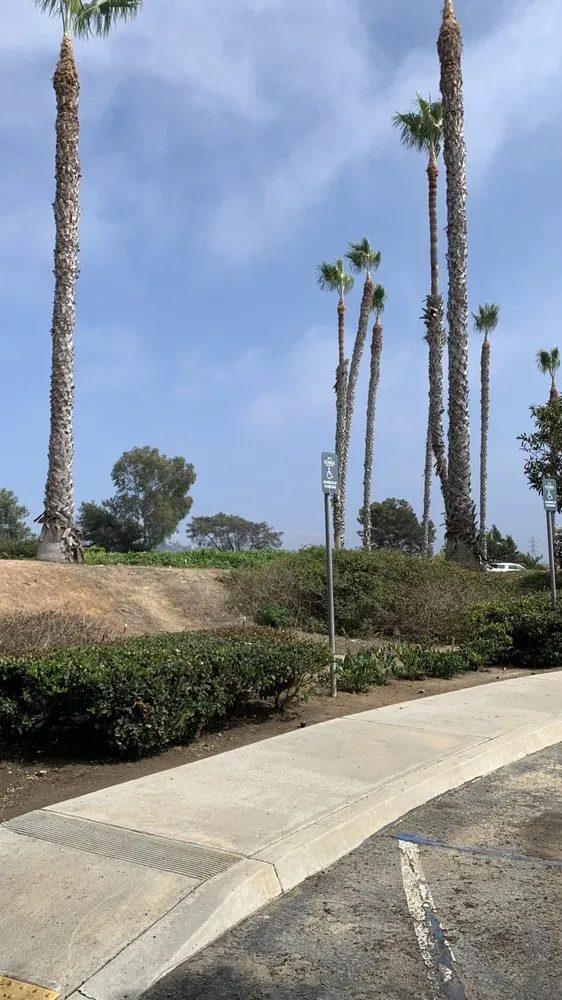 Expert lawn mowing service for beautiful yards across Vista, CA - Ortega’s Tree Service