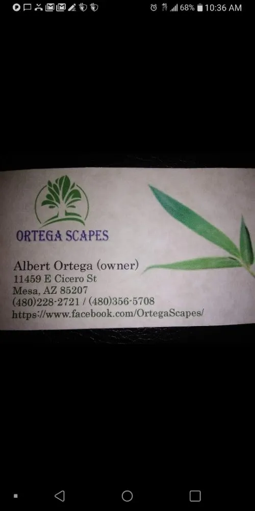 Custom landscape installation for beautiful yards in Mesa, AZ by OrtegaScapes