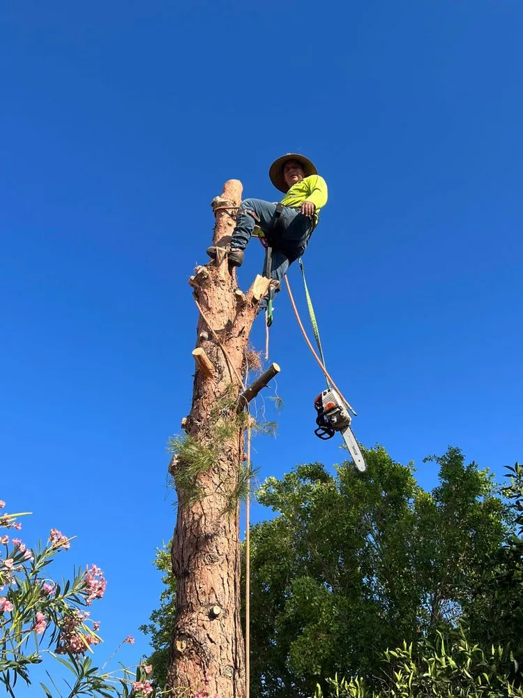 Local lawn care service in Tucson, AZ - Ortiz Brothers Landscape