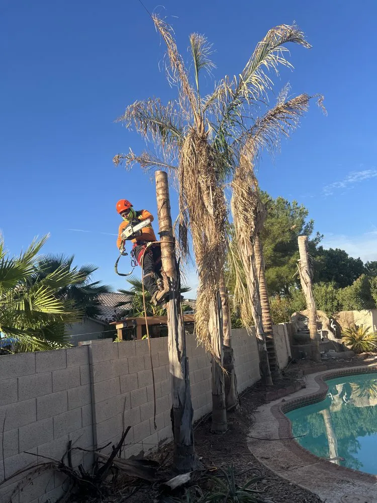 Trusted lawn care service in Tucson, AZ - Ortiz Brothers Landscape