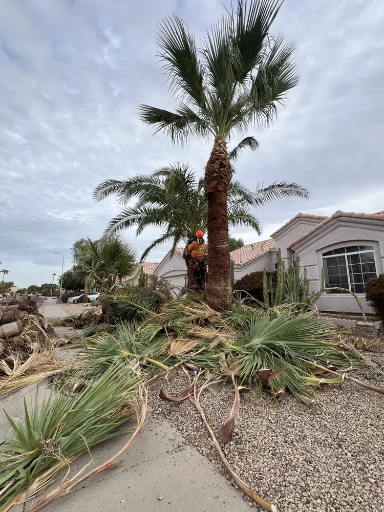 Reliable landscape installation experts serving Tucson, AZ - Ortiz Brothers Landscape