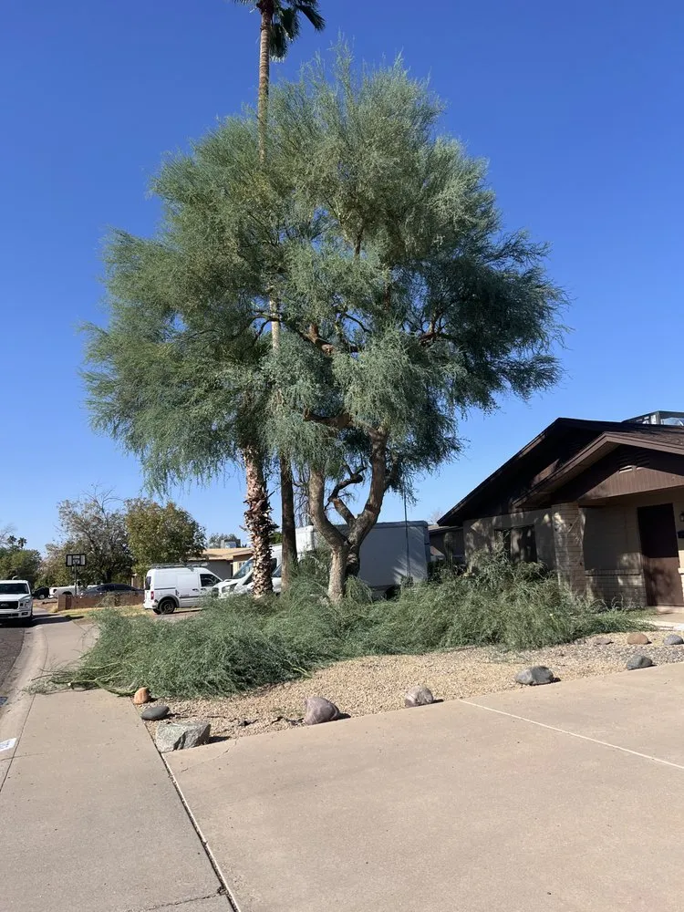 Expert garden landscaping experts serving Tucson, AZ - Ortiz Brothers Landscape