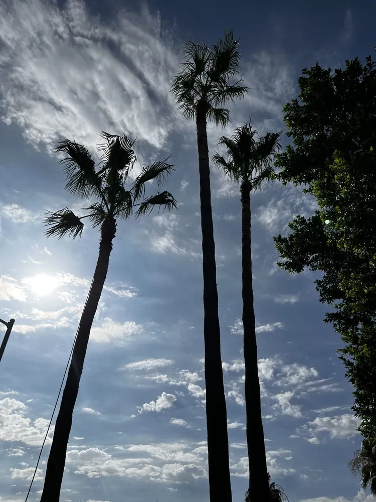 Top-rated yard maintenance in Phoenix, AZ by Ortiz Brothers Landscaping