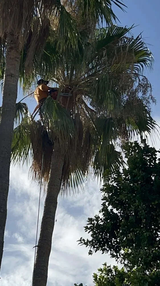 Reliable yard cleanup service for year-round maintenance across Phoenix, AZ - Ortiz Brothers Landscaping