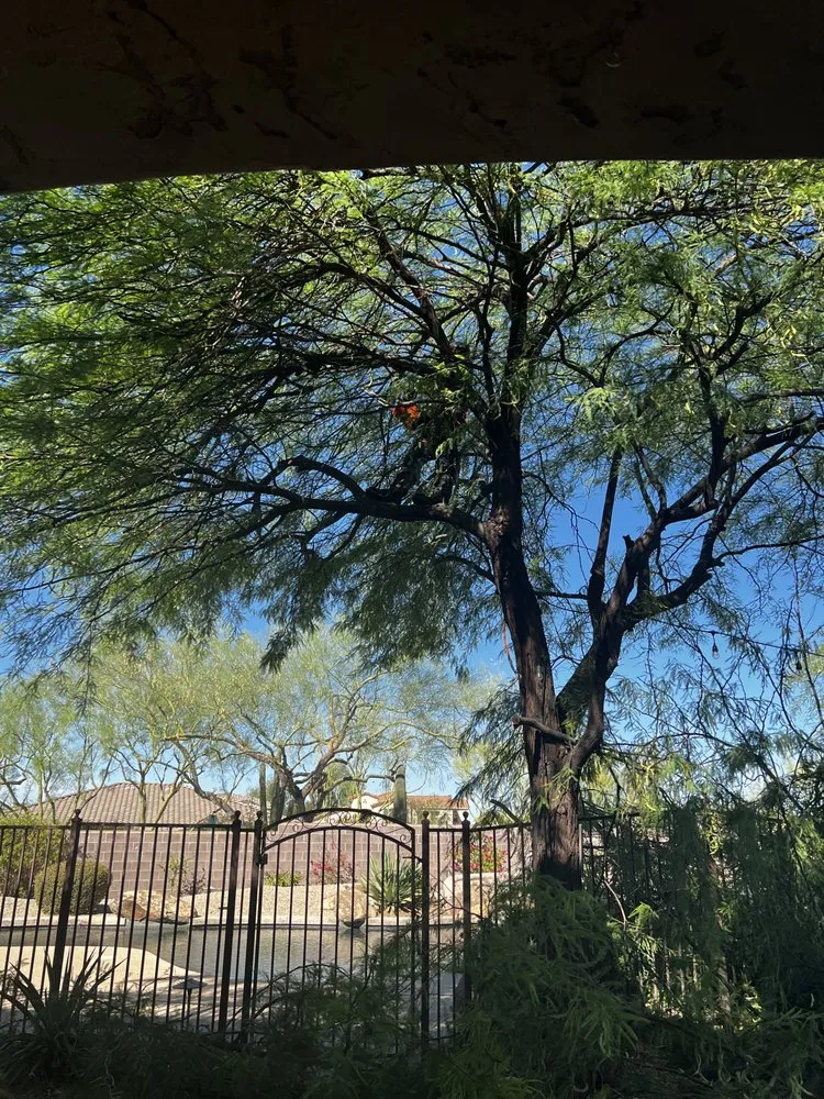 Expert landscaping services in Phoenix, AZ by Ortiz Brothers Landscaping