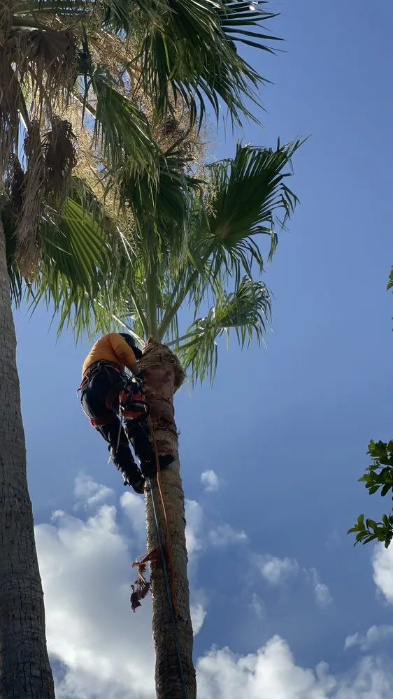 Trusted yard maintenance for residential properties across Phoenix, AZ - Ortiz Brothers Landscaping